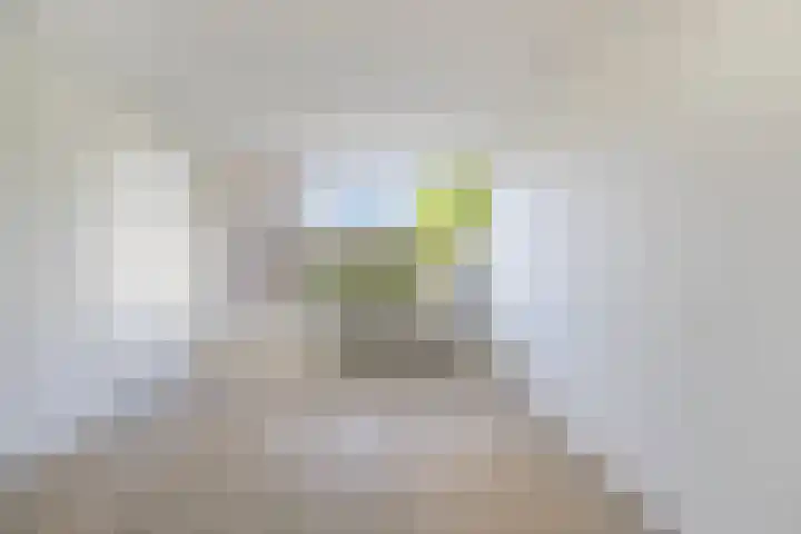 Malvert 7516 Nijmegen thumbnail 5