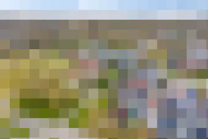 Malzwin 36 Lelystad foto 2