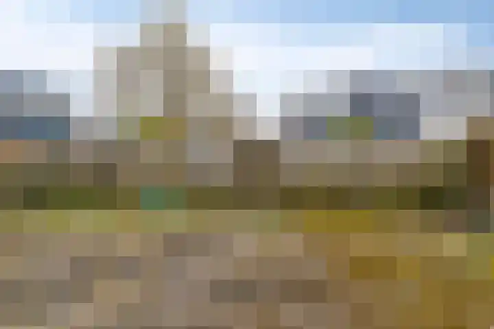Malzwin 36 Lelystad thumbnail 25