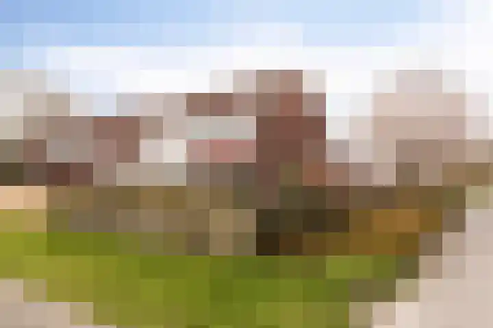 Malzwin 36 Lelystad thumbnail 29