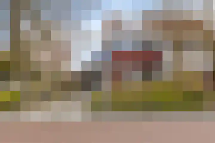 Malzwin 36 Lelystad thumbnail 4