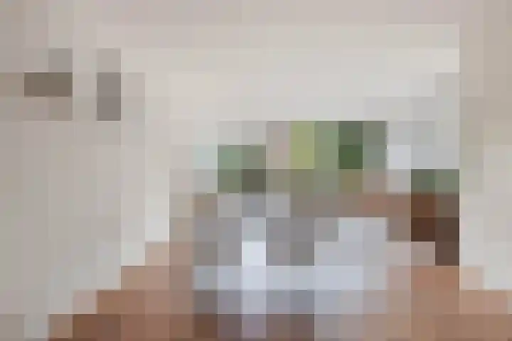 Malzwin 41 Lelystad thumbnail 14