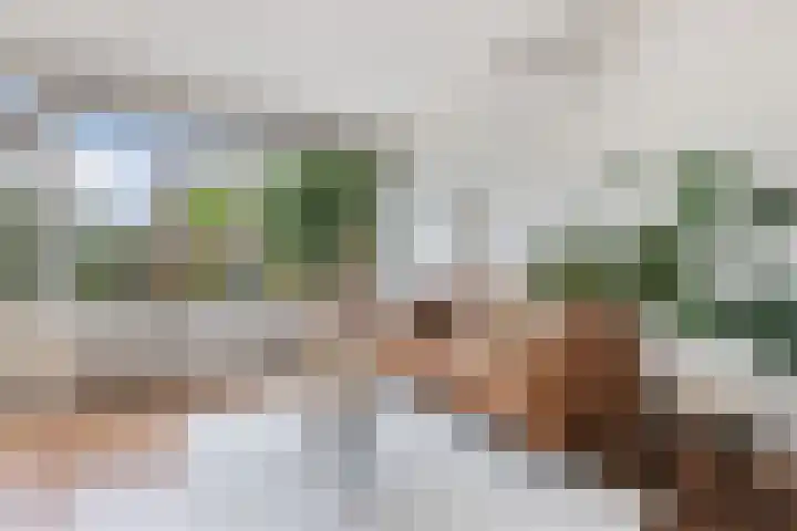 Malzwin 41 Lelystad foto 2