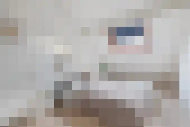 Malzwin 41 Lelystad thumbnail 37