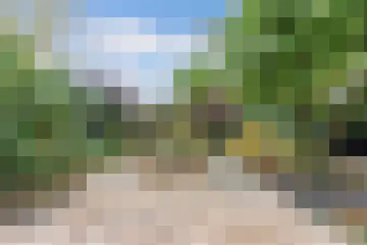 Malzwin 41 Lelystad thumbnail 45