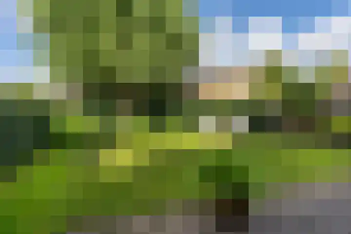 Malzwin 9 Lelystad thumbnail 13