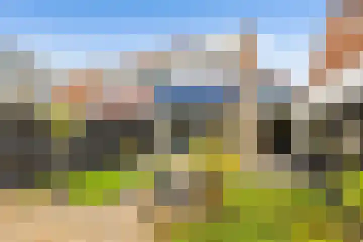 Malzwin 9 Lelystad foto 3