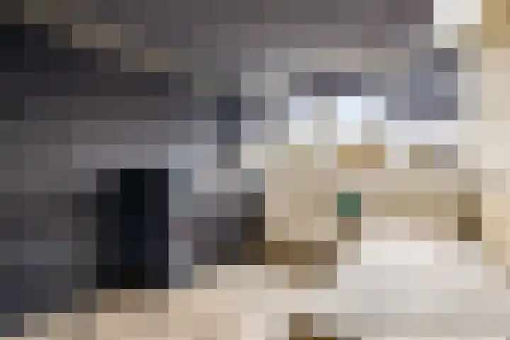 Malzwin 9 Lelystad thumbnail 30