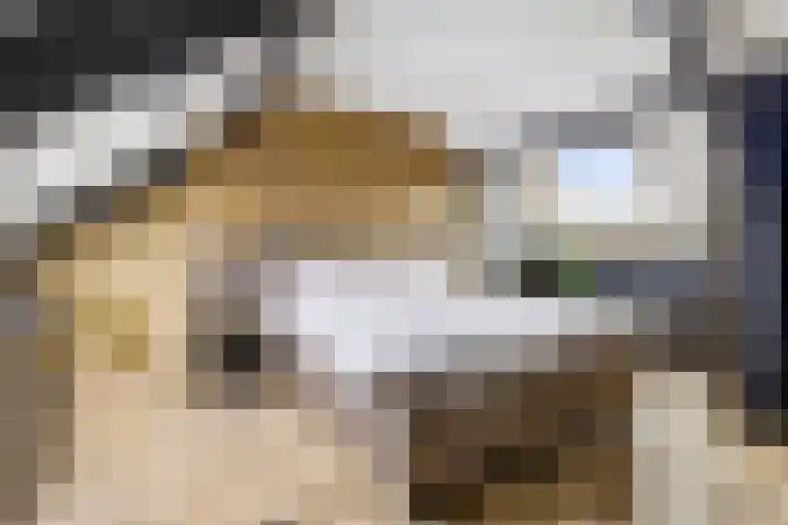 Malzwin 9 Lelystad thumbnail 33