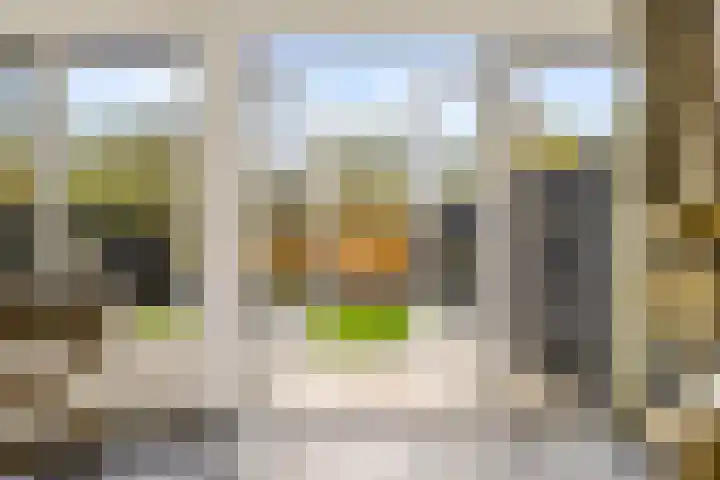 Malzwin 9 Lelystad thumbnail 36