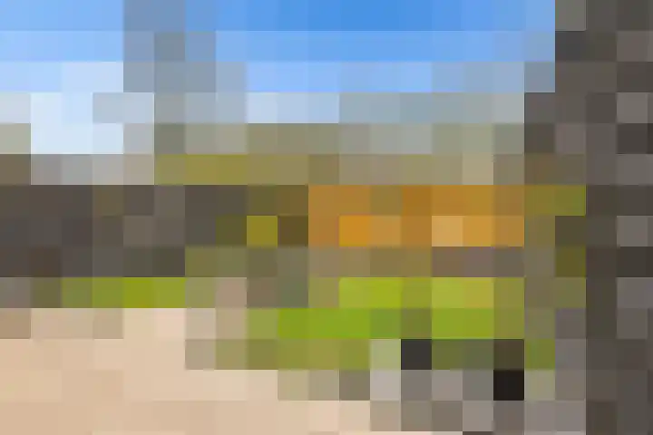 Malzwin 9 Lelystad thumbnail 37
