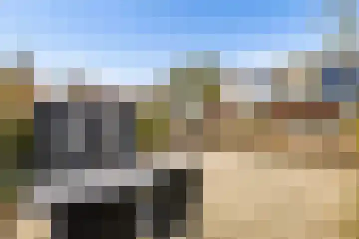 Malzwin 9 Lelystad thumbnail 41