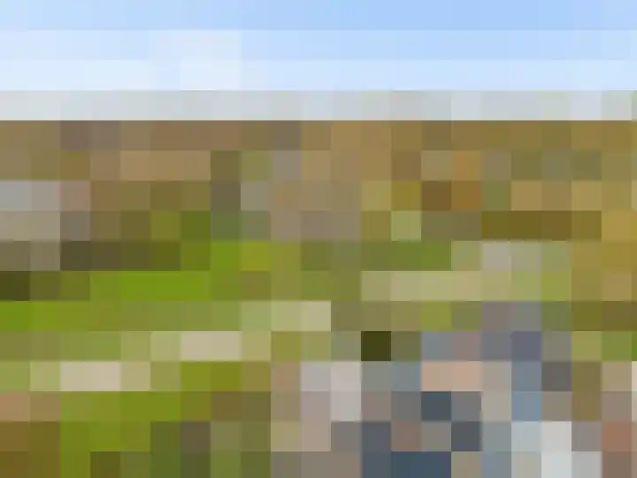 Malzwin 9 Lelystad thumbnail 43