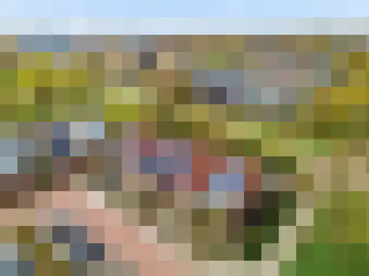 Malzwin 9 Lelystad thumbnail 44