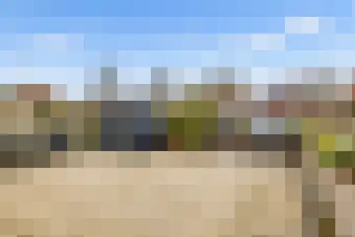 Malzwin 9 Lelystad thumbnail 5