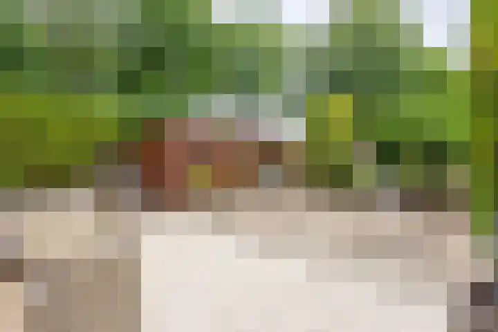 Mambostraat 28 Venray thumbnail 27