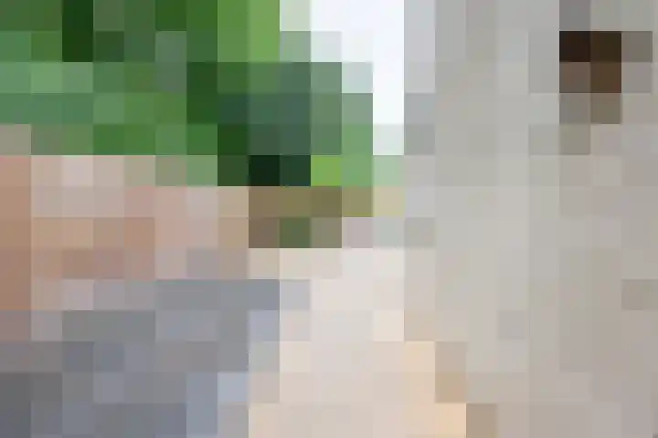 Mambostraat 28 Venray thumbnail 29