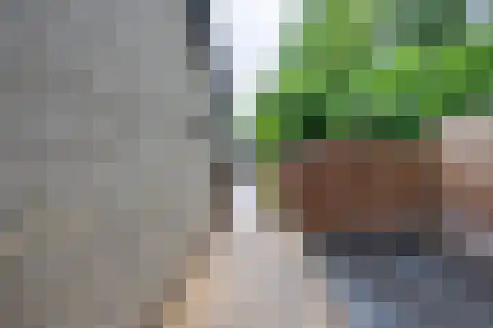 Mambostraat 28 Venray thumbnail 30