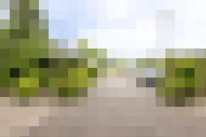 Mambostraat 28 Venray thumbnail 31