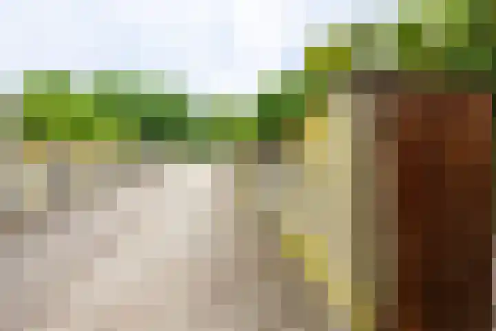 Mambostraat 28 Venray thumbnail 33
