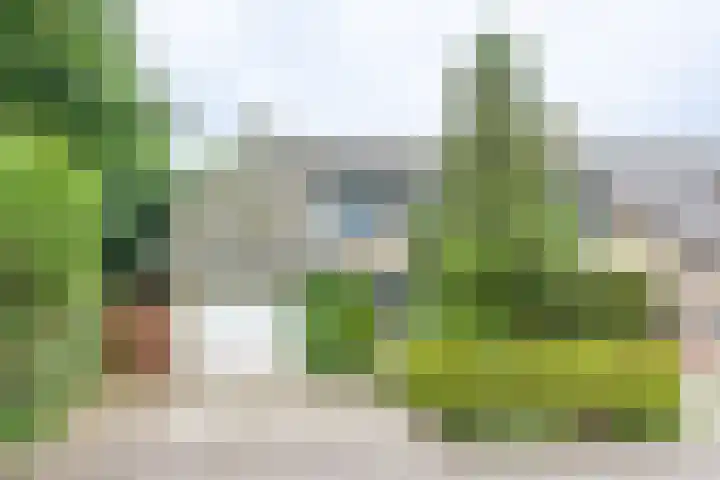 Mambostraat 28 Venray thumbnail 37