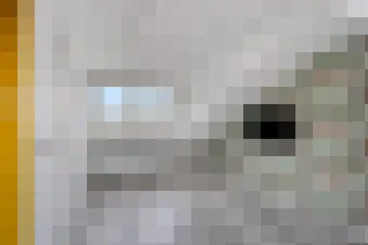 Mambostraat 38 Venray thumbnail 38