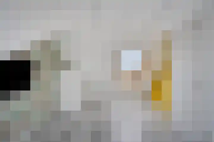 Mambostraat 38 Venray thumbnail 39