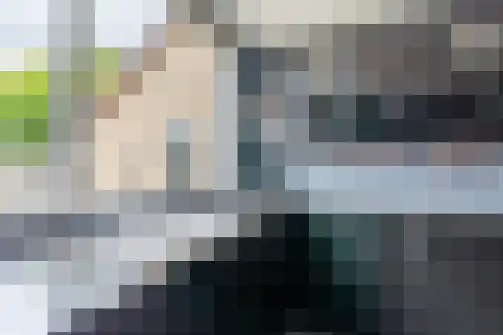 Mambostraat 80 Venray thumbnail 34