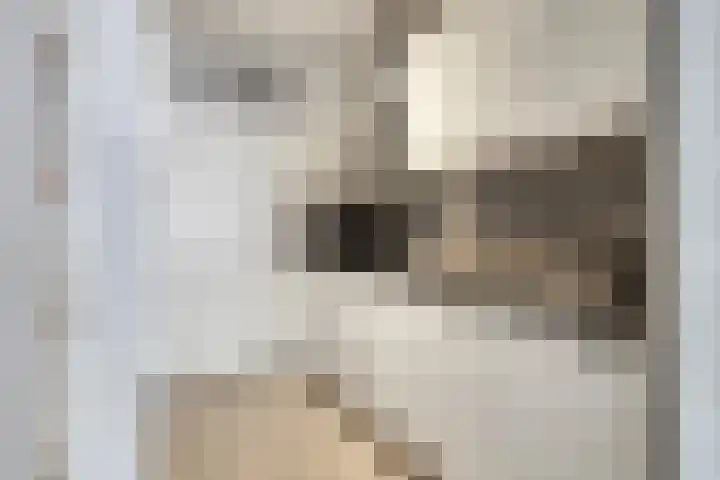 Mandelborg 6 C Maastricht thumbnail 13