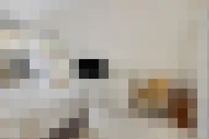 Mandelborg 6 C Maastricht thumbnail 15