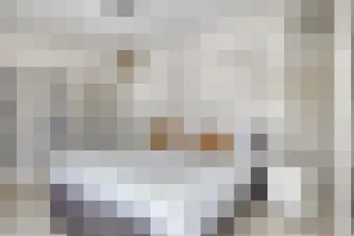 Mandelborg 6 C Maastricht thumbnail 16