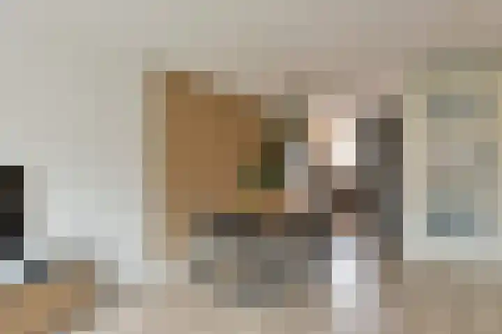 Mandenmaker 4 Wilnis thumbnail 11