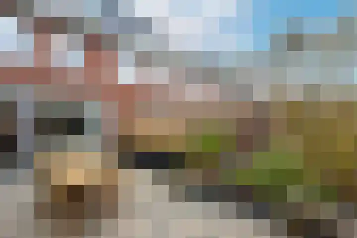 Mandenmaker 4 Wilnis thumbnail 23