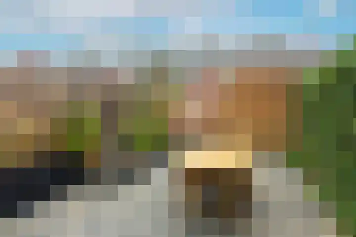 Mandenmaker 4 Wilnis thumbnail 24