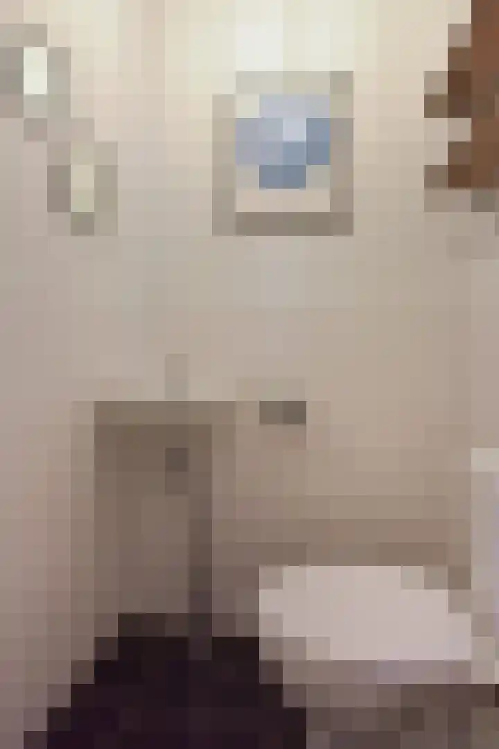Mandenmaker 4 Wilnis thumbnail 27