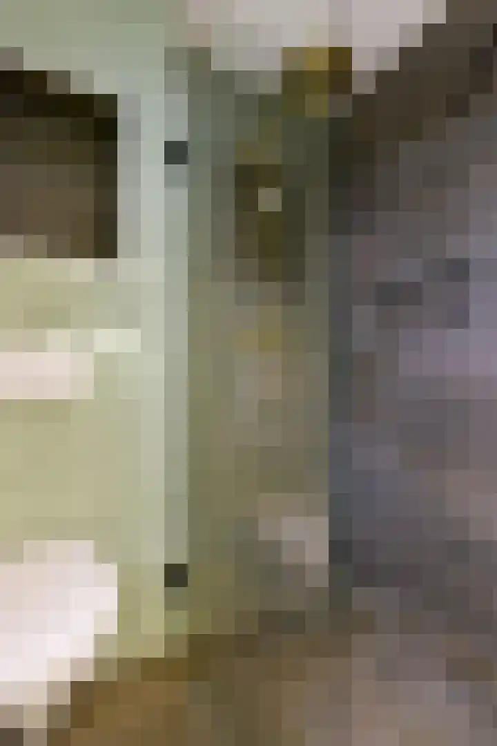 Mandenmaker 4 Wilnis thumbnail 29
