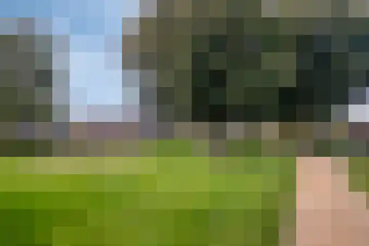 Mandenmakersgilde 17 Dronten thumbnail 23