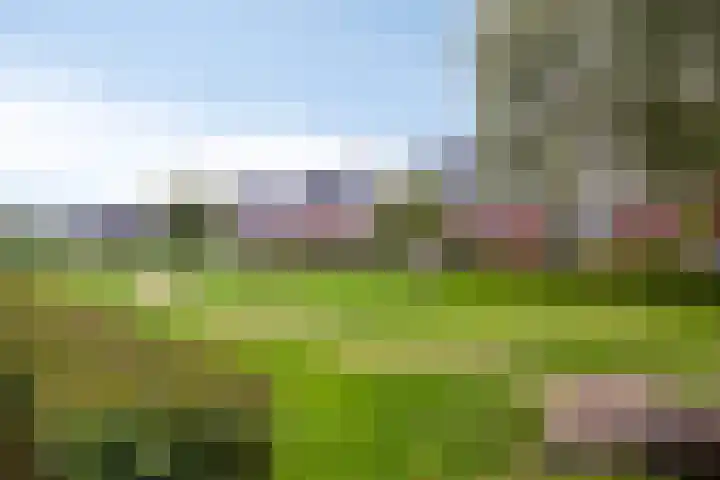 Mandenmakersgilde 17 Dronten thumbnail 25
