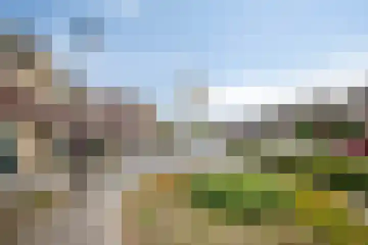 Mandenmakersgilde 17 Dronten thumbnail 5