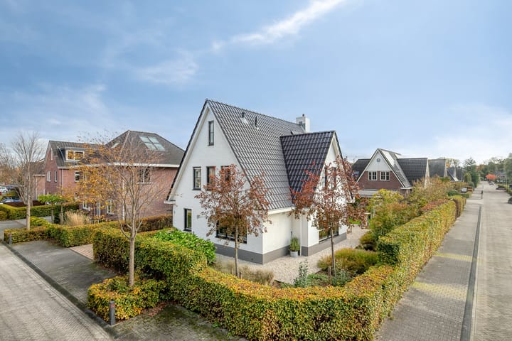 Mandenmakersgilde 2 in Dronten foto