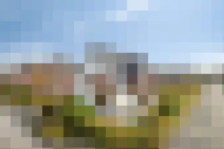 Mandenmakersgilde 2 en Dronten