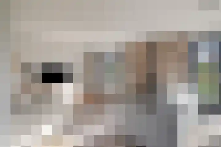 Mandenmakersgilde 2 Dronten foto 2