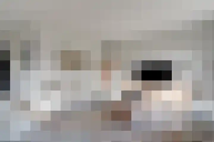 Mandenmakersgilde 2 Dronten thumbnail 22