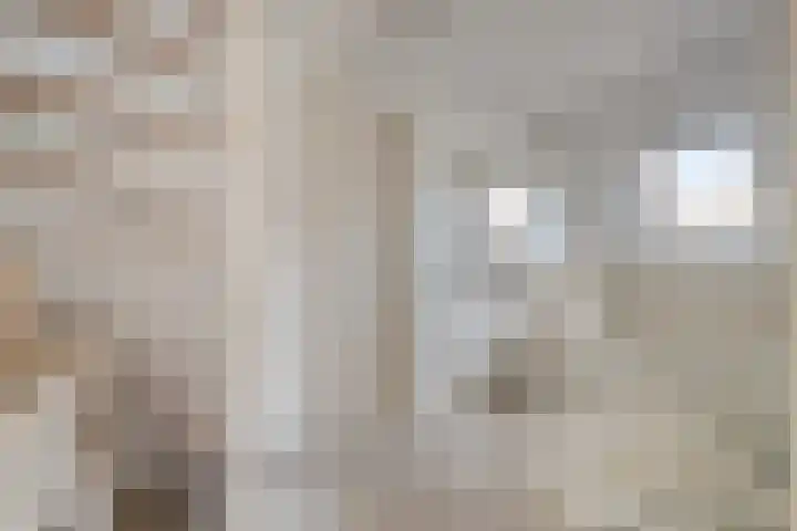 Mandenmakersgilde 2 Dronten thumbnail 23