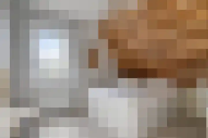 Mandenmakersgilde 2 Dronten thumbnail 27