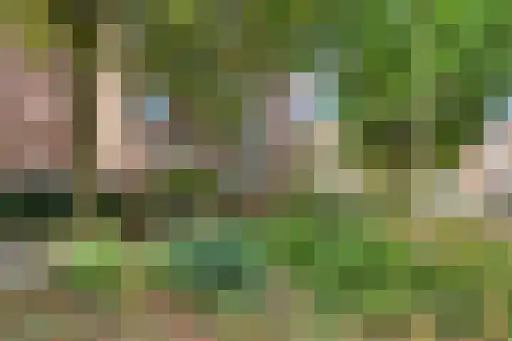 Mandenmakersgilde 2 Dronten foto 3