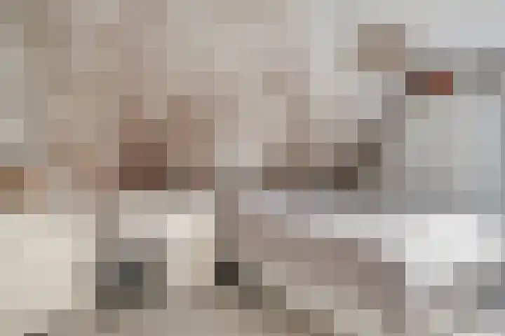 Mandenmakersgilde 2 Dronten thumbnail 30