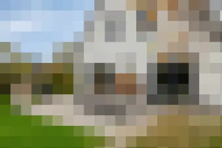 Mandenmakersgilde 2 Dronten thumbnail 40