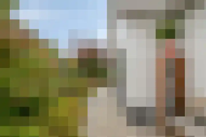 Mandenmakersgilde 2 Dronten thumbnail 43