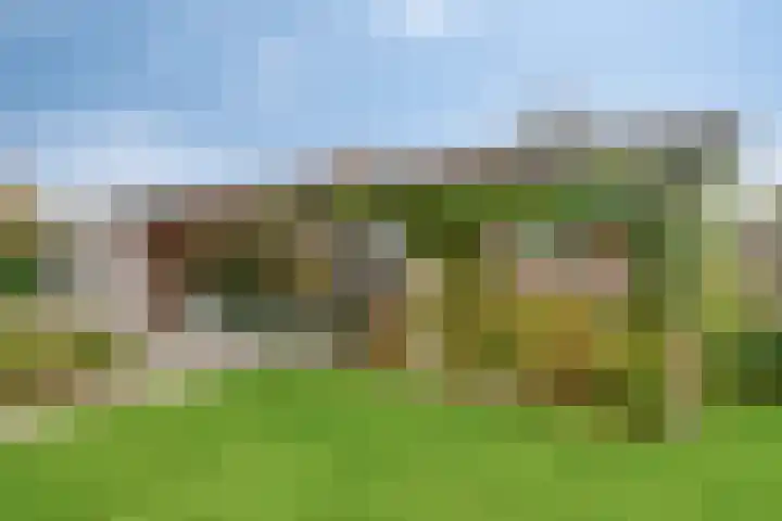 Mandenmakersgilde 2 Dronten thumbnail 44